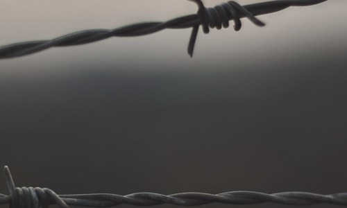 Peace, Human Security and Humanitarian assistance